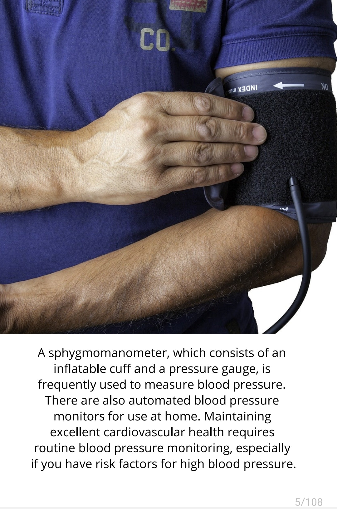 Daily Blood Pressure Log, Systolic Blood Pressure, Diastolic Blood Pressure, High Blood Pressure, Low Blood Pressure
